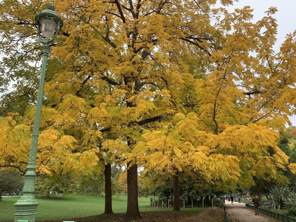 Parc Monceau in autumn